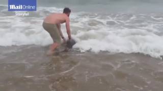 Man doesn't save beached dolphin.