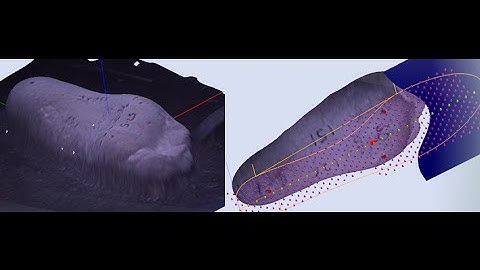 Lasercam Orthotics Tutorial - Opening 3D Scans in PodView