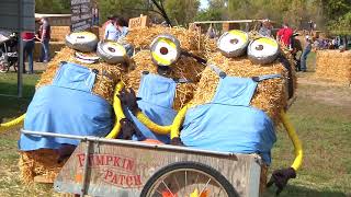 Papa s Pumpkin Patch