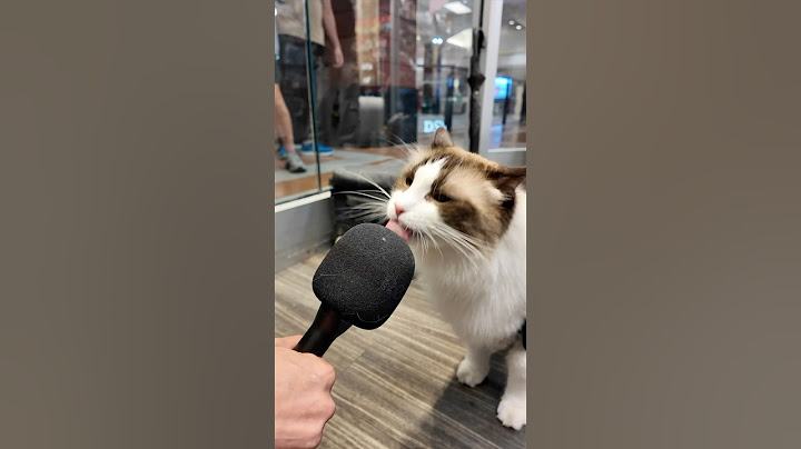 Puff @gamestop ??? Go to your local stores to meet Staff Puff! #thatlittlepuff