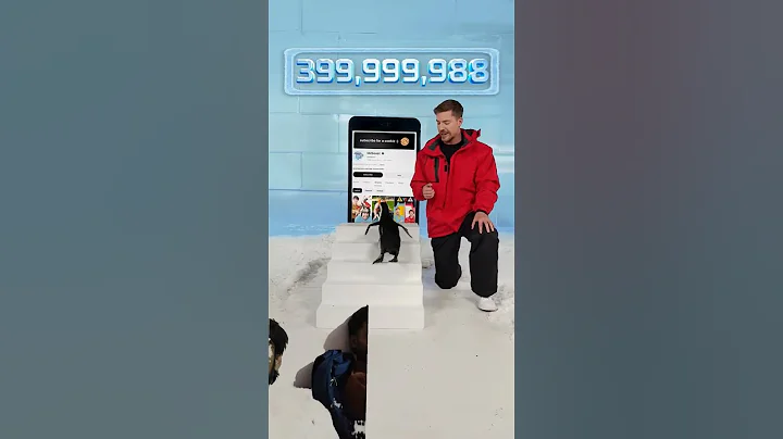 Can I Teach a Penguin To Subscribe? #mrbeast #mrbeastshorts #ytshorts