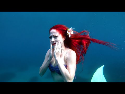 The Last Mermaid Ariel ( The Little Mermaid )