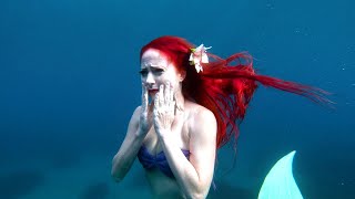 The Last Mermaid Ariel ( The Little Mermaid )