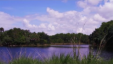 Motionbolt.com - Summer Lake