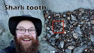 I found a fossil shark tooth and some other great fossils on a secluded beach