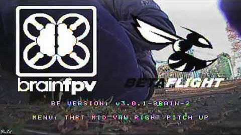 BrainFPV RE1 OSD Radio Menu PID settings