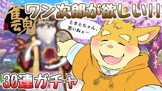【ゲーム配信】　ワン次郎が欲しい！！　【ハムスターVtuber/日葵ときと】
