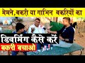 बकरी पालन का सबसे अहम् पहलू | बकरियों का Deworming कैसे करे ? Goat Farming Mentor सुधीर सर से  जानिए