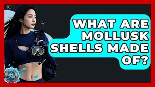 What Are Mollusk Shells Made Of? - The Marine Life Explorer