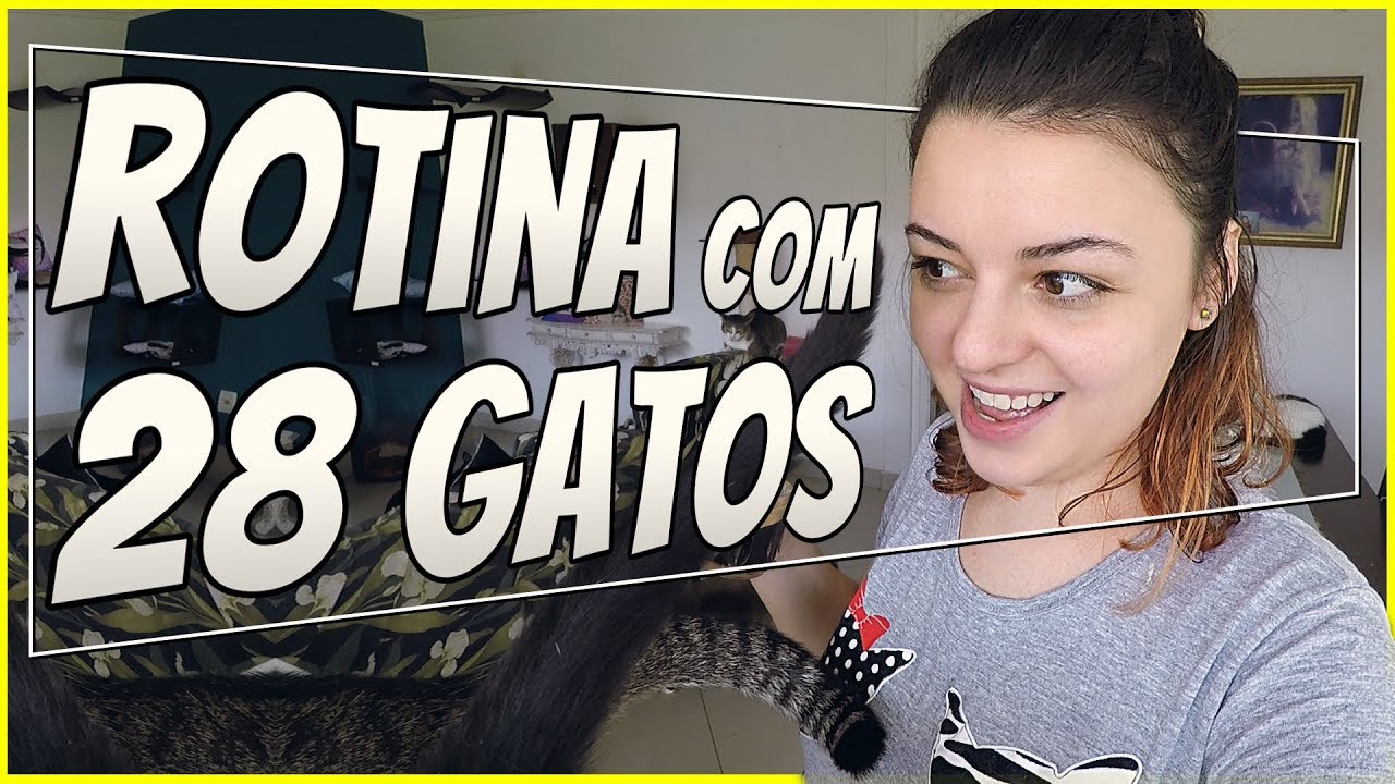 Adoção da Juno  | VIDA de GATEIRA #07