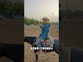 不会骑马的人又在教骑马了 马术 技巧教学 不会骑马的人又在教骑马了 马术 技巧教学