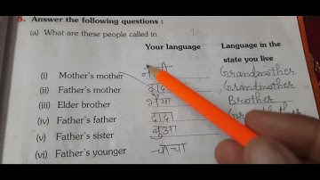 Chapter 7 From the Window Holyfaith Workbook Solutions Class 4 EVS by Renu Rathi