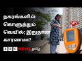 Cement சாலையில் வெப்பம் 58°C; மரத்தடி நிழலில் 38°C - இந்த வேறுபாட்டுக்கு என்ன காரணம்?