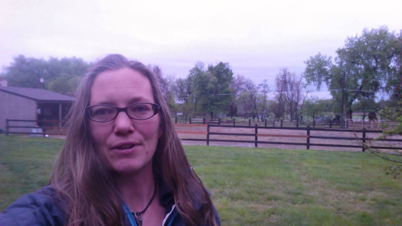 Pet Sitting in Longmont, CO YouTube