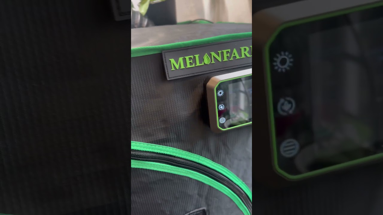 Just got the VIVOSUN G4 Kit 4” – clean air, happy plants! 🌱💨 