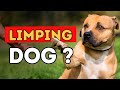 Why Is Your Dog Limping? (Natural Remedies to Help!)