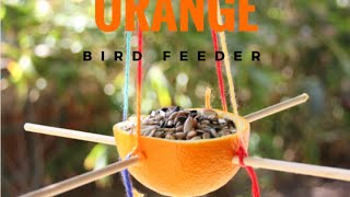 Orange Bird Feeder | Making a bird feeder out of an orange | Kids Bird Feeders | Kids Summer Activities.