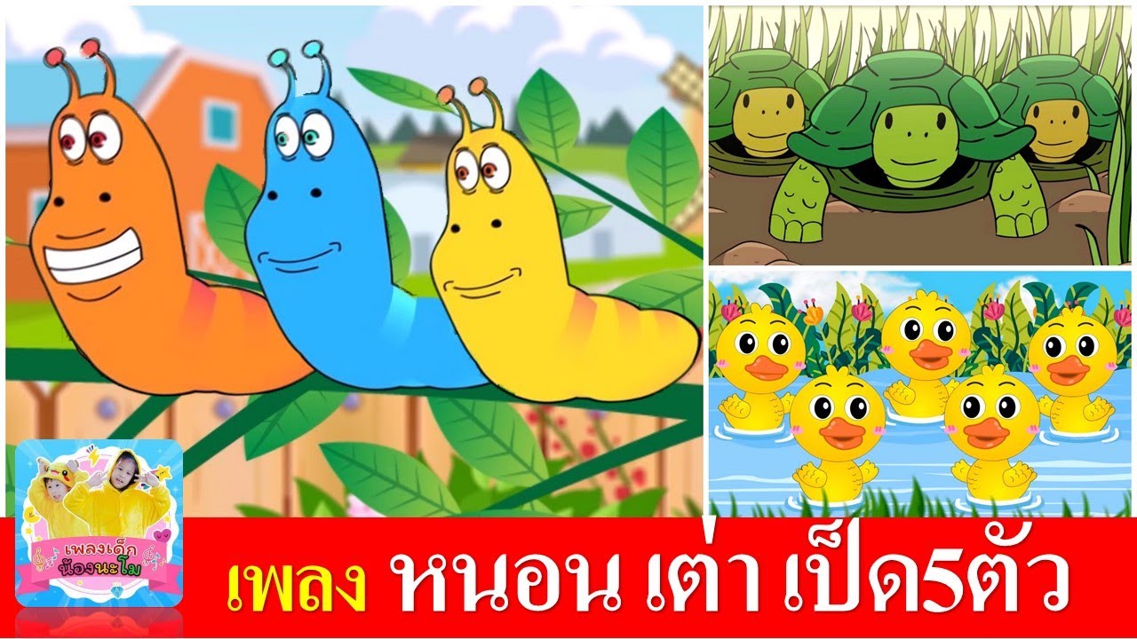 เพลงเด็กอนุบาล | หนอน เต่า เป็ด5ตัว | หนอนต้วมเตี้ยม | เต่าเอ๋ยเต่า | เป็ด5ตัว