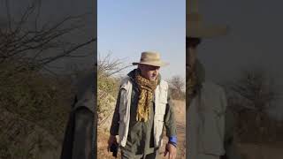 He Watched India’s Rarest Species Vanish  #onthebrink #indianwolf