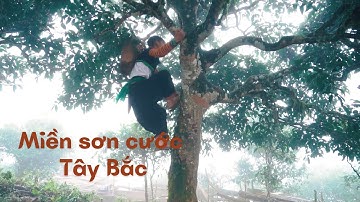 Miền Sơn cước Tây Bắc | HÀNH TRÌNH CUỘC SỐNG | VTV5