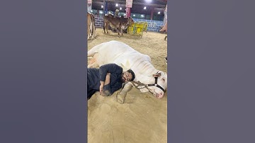 😭❤️#syedfahad