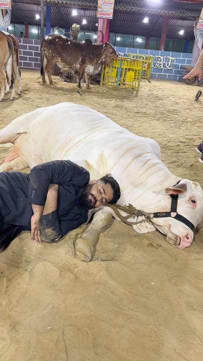 😭❤️#syedfahad