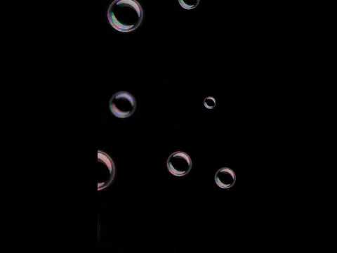 ⸜🌷︎⸝‍半音上げ🌸MISIA feat.Greeen『アイノカタチ』🌸育ちゃん