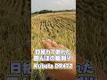 日枯れで倒伏した田んぼの稲刈り! #倒伏#Kubota#DR472 #automobile