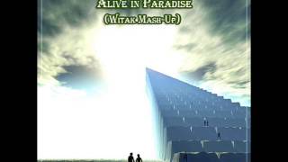 Tiesto & Dyro vs Krewella Alive in Paradise (Witak Mash Up)