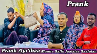Pranki Aja'ibaa Munira Gaffii Jaalalaa Gaafatan muniraa hedduu Gaddite ayıi miskinaa