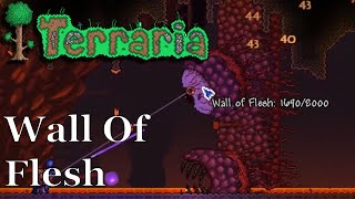 Today graz will give you a helping hand in trying to defeat the wall
of flesh, last boss standing between and hardmode terraria! i
recommend irons...