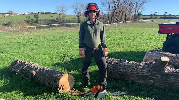 STIHL Chainsaw Safety Awareness with Lisa Kendall