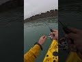 Lrf Sargoz Avı | Caretta Curly #fish #fishing #akdeniz #deniz #mediterranean #oltabalıkçılığı #lrf