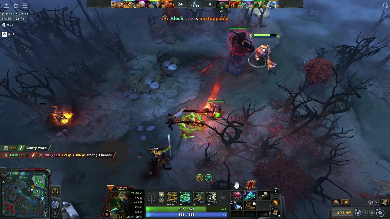 NP CARRY PLAY ROLE SUPPORT SO CUTE | Dota 2 Indonesia