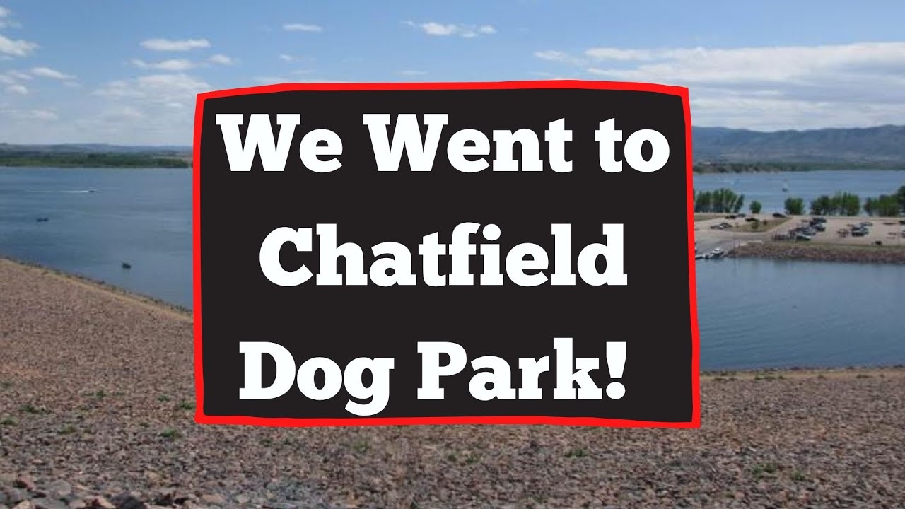 Visiting Chatfield Dog Park in Colorado YouTube