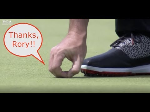 rory-mcilroy-saves-bug's-life,-drains-putt-at-the-2019-pga-championship