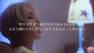 〈和訳〉 여우비 （Crush） -  NCT WISH “突然降ってきた君という通り雨”