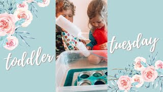 The Hungry Caterpillar Activities