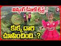 నల్లకొండలో పాప కదలికలు చూపించిన కుక్క.? | Big Update In Tuni Girl Mystery | Dog Missing | RTV