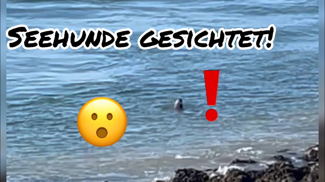 Eine Woche im Roompot Park Beach Resort