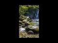 🌿💧#ASMR #NatureASMR #RelaxingSounds #Shorts #Calming #StressRelief #OceanSounds #NatureLovers