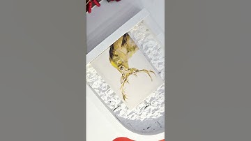 FUNSNAP CM8 Inception Mode #funsnap #gimbal #aigimbal