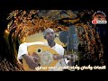 بيداري أحمد الحب اللي بكاني جديد 2022 