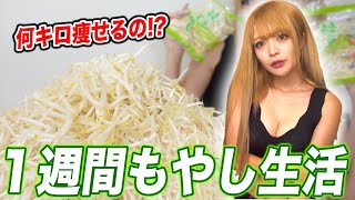 【検証】ギャルが1週間もやしを食べ続けたら何キロ痩せるのか?【縛り生活】