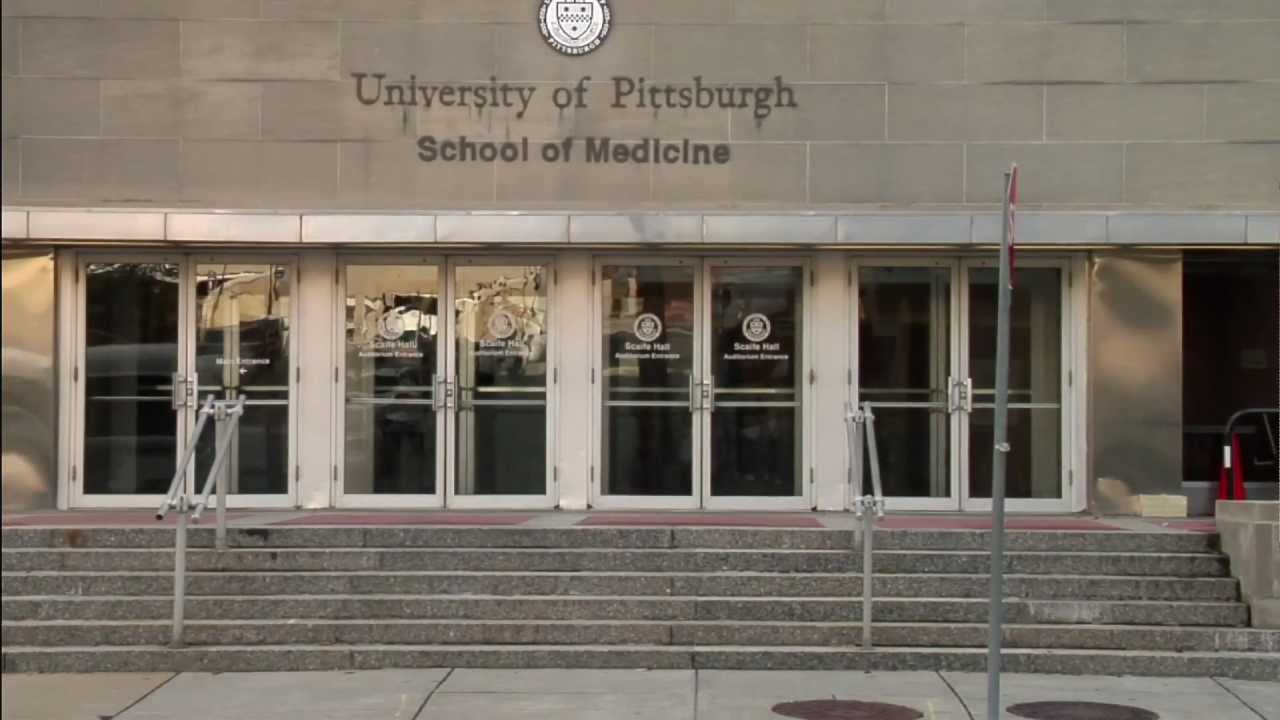 University Of Pittsburgh School Of Medicine Department Of Cell university-of-pittsburgh-school-of-medicine-department-of-cell
