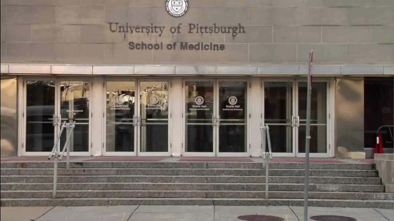 Pitt Medical School Admissions Statistics – CollegeLearners.com