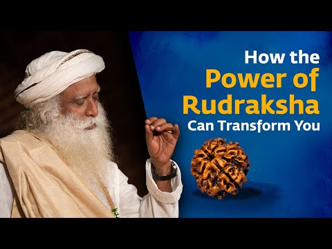 How the Power of Rudraksha Can Transform You |