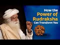 How the power of rudraksha can transform you  sadhguru