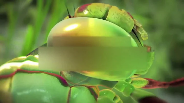 Copy of y2mate com   Introduction to Mathematics aaJo07SrSWQ 1080p