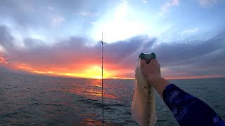 SUNSET Kayak Squid Fishing + CAPSIZE | Catch and Cook | Yorke Peninsula, South Australia